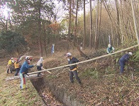 竹林整備の様子