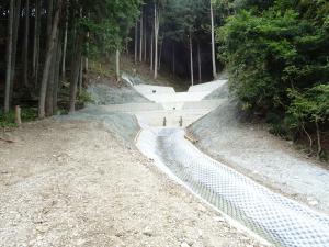 渓間工を下流から見た画像