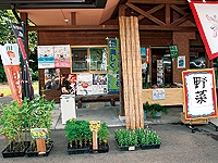 自慢の声の画像