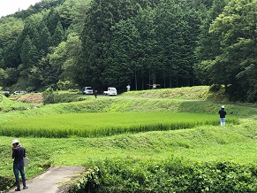 sinkou01