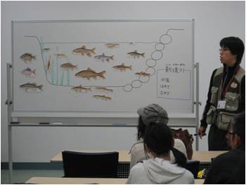 水辺の生き物の学習