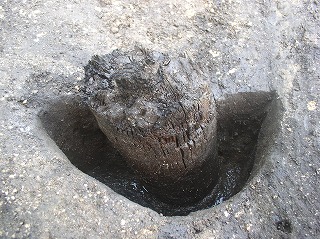 柱痕が残る柱穴 柱痕が残る柱穴の画像