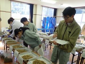 自給飼料2