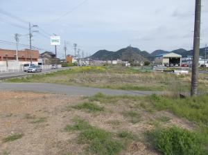 芥見町屋遺跡の調査前発掘区A地点の近景写真です