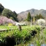 達目洞（逆川上流）