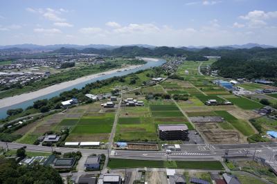 発掘区の遠景写真です
