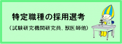 特定職種の採用選考