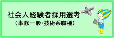 社会人経験者採用選考