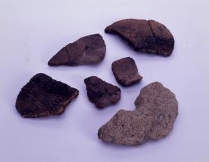 この遺跡の特徴を表す、縄文時代早期の土器と環状石斧の集合写真です