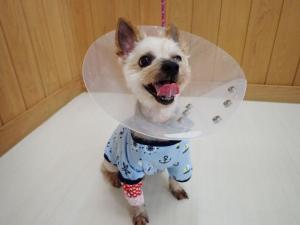 ケンちゃんの写真