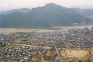 遺跡の遠景写真です。