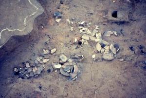 焼失家屋から出土した土器です