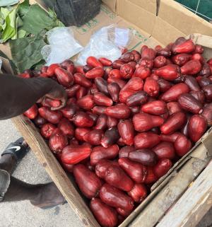 ジャマイカンアップル