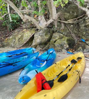 モンキーアイランド