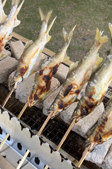 鮎の塩焼き