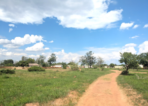 緑に覆われ始めた大地