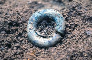 耳環(金環)の出土状況です。