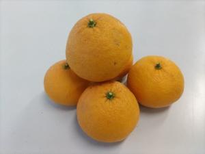 ３