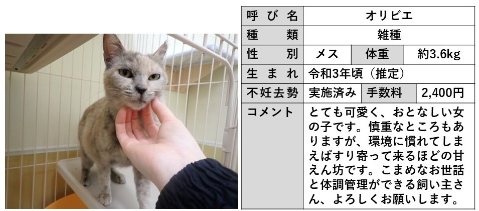 オリビエ