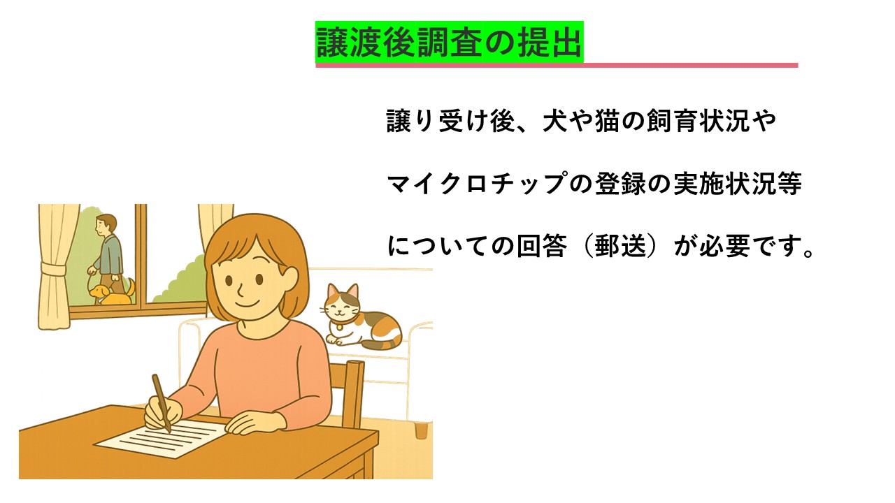 アンケート