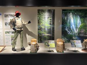 高山展示写真１