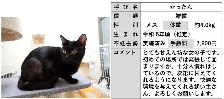 かったん