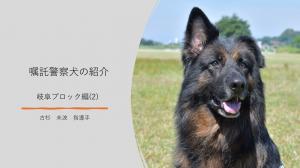岐阜ブロック（2)