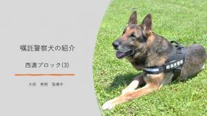 西濃ブロック（3）