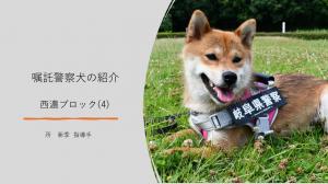 西濃ブロック（4）