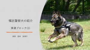 東濃ブロック(1)