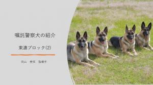 東濃ブロック（2）