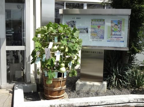 ひょうたんに短冊