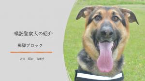 飛騨