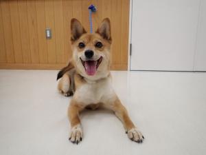 まっちゃの写真