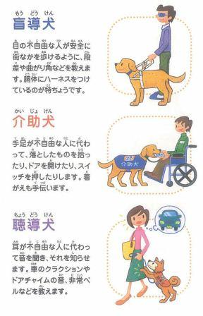 各種補助犬