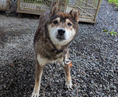20-1