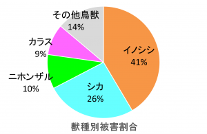 獣種別