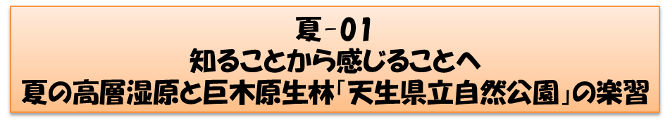 夏コースの画像1