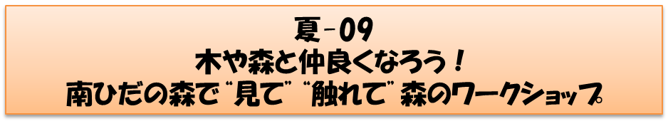 夏コースの画像7