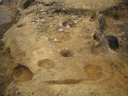 竪穴建物跡 竪穴建物跡