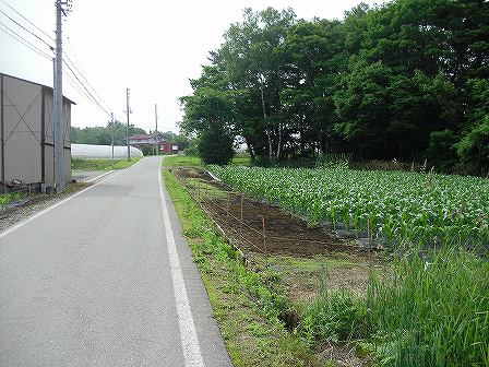 開拓地B地点遺跡 開拓地B地点遺跡