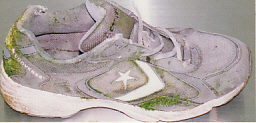 靴