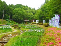 百年公園内の庭園 百年公園内の庭園