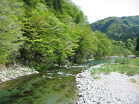 川の写真
