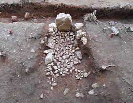 小洞古墳群10号古墳 小洞古墳群10号古墳