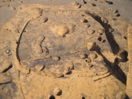 竪穴建物完掘状況 竪穴建物完掘状況の画像2