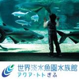 アクアトトの画像 アクアトトの画像