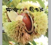 恵那県事務所の画像 恵那県事務所の画像