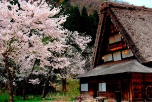 Go GIFU Indonesiaの画像 GoGIFUIndonesiaの画像