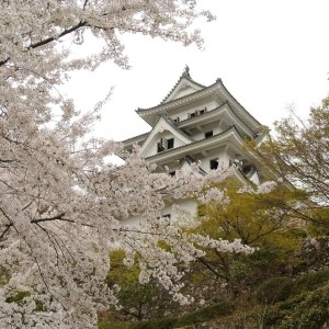 กิฟุ Gifuの画像 กิฟุGifuの画像